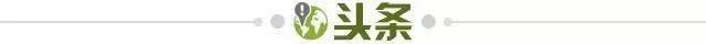 1741650908839072113.jpg 头条.jpg